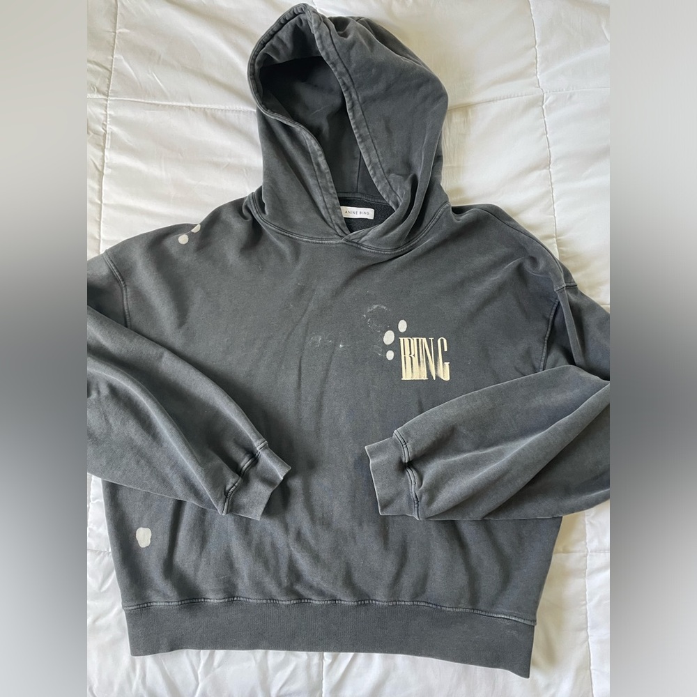 Anine Bing Gray Hoodie